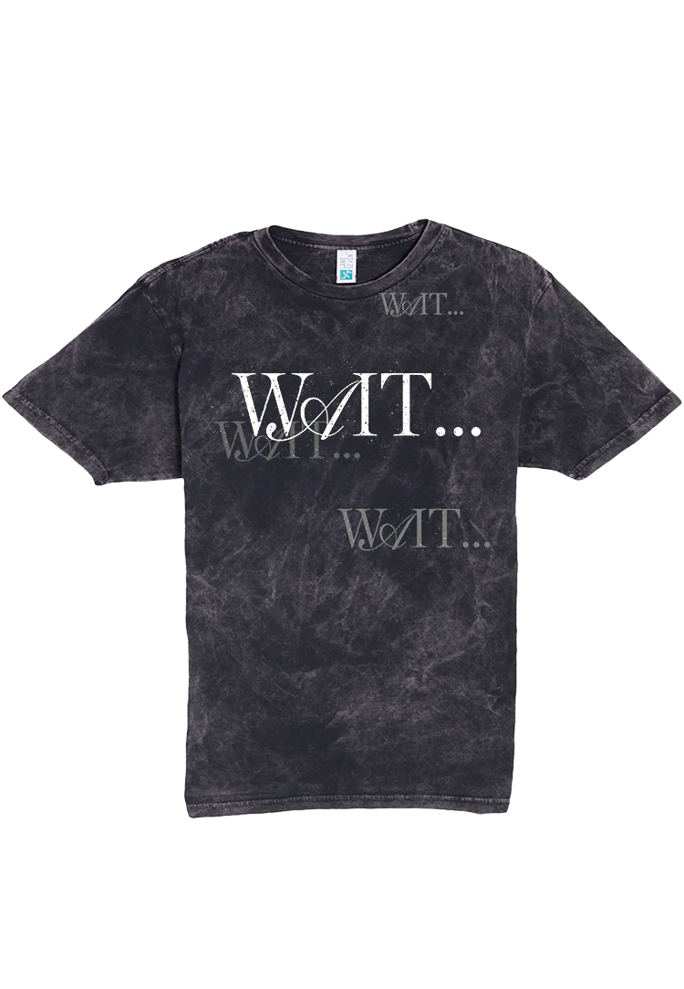 Inayah - WTM Album T-Shirt