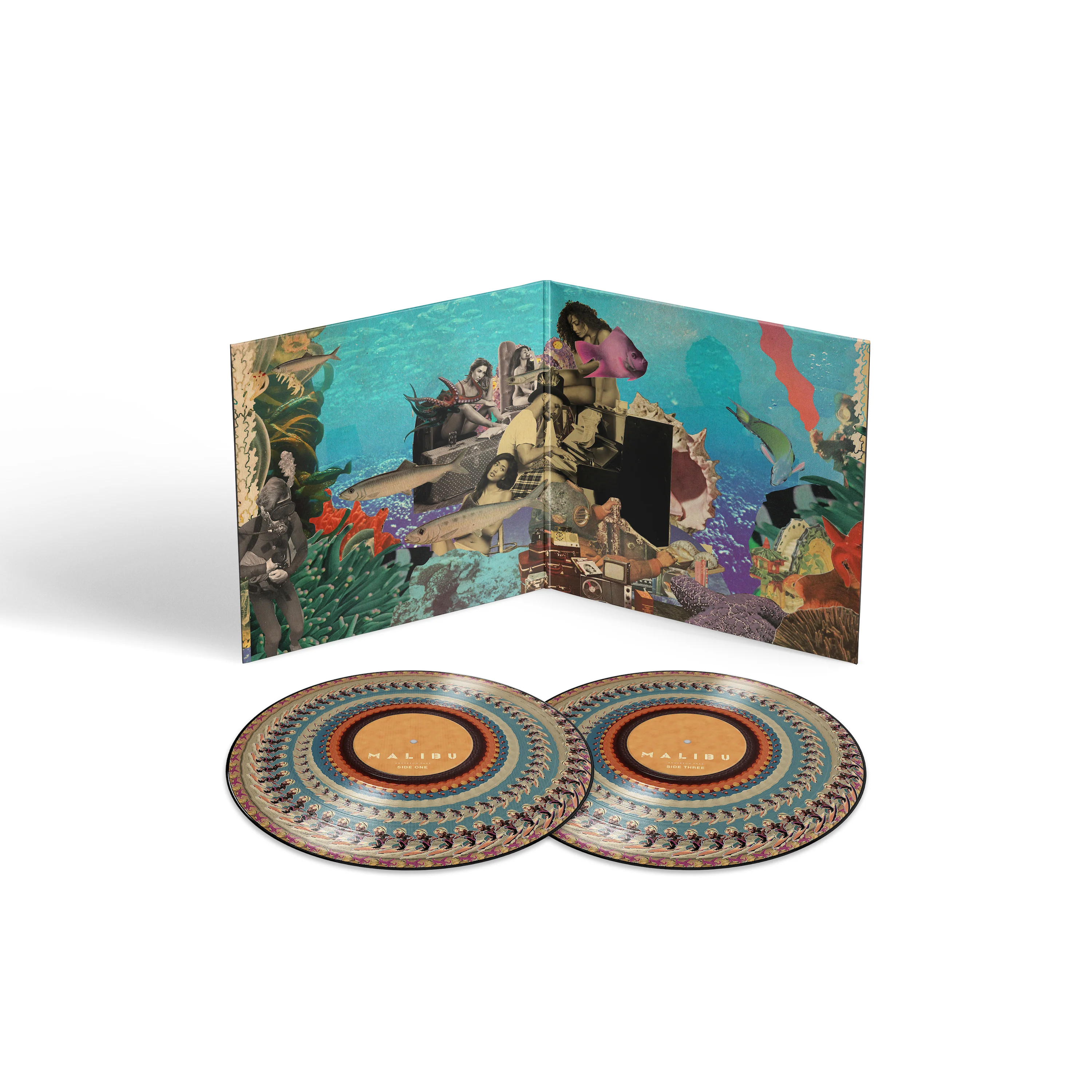 Malibu (10 Year Anniversary Zoetrope Vinyl) - Image 2